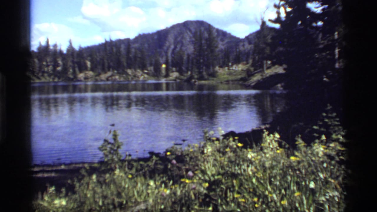 Calm mountain lake bordered by evergreens, with wildflowers in the foreground.