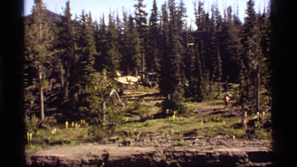 1977 Sapphire Lake, Montana home-movie view of a wooded trail, campsite clearing, yellow tent, and distant visitor among tall pines.