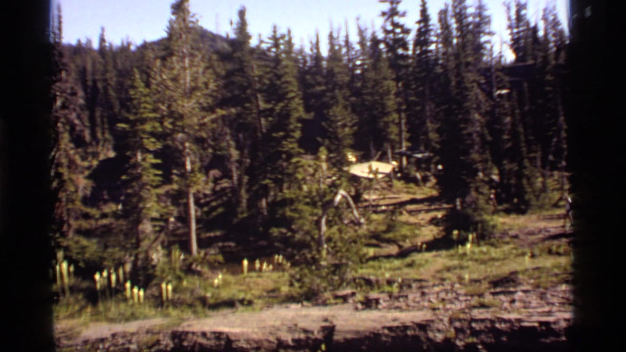 Sapphire Lake, Montana home-movie frame showing a forested campsite approach with evergreens, meadow grass, rocky ground, and distant tent shapes.