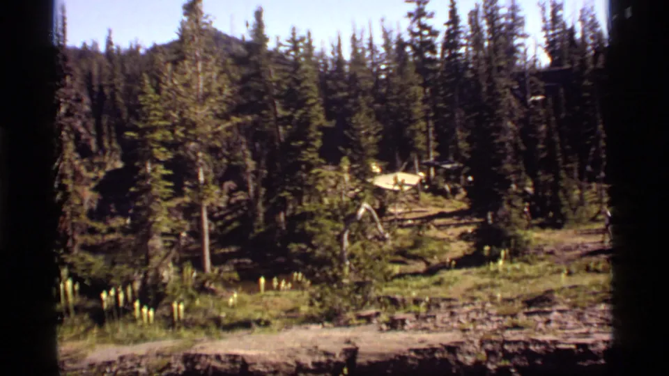 Sapphire Lake, Montana home-movie frame showing a forested campsite approach with evergreens, meadow grass, rocky ground, and distant tent shapes.