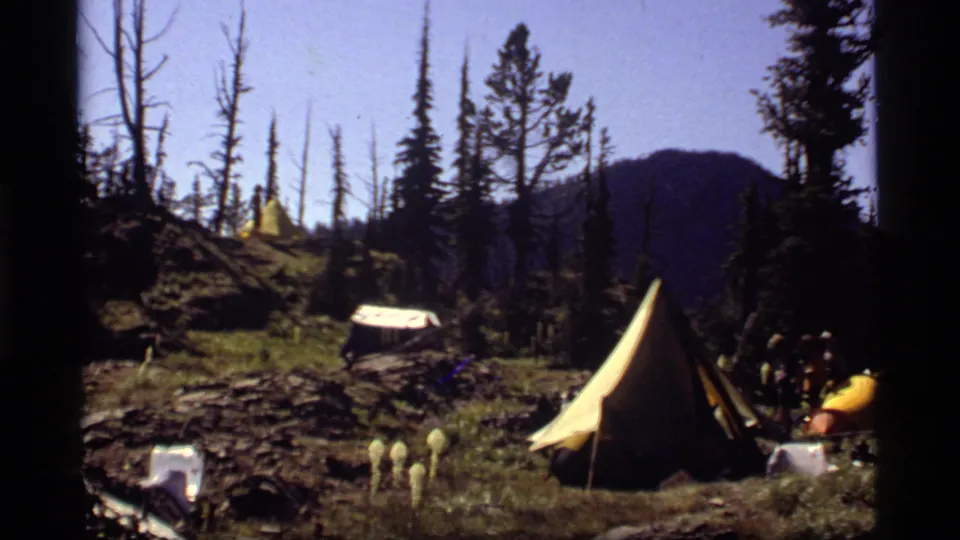 Wide 8mm frame of the Sapphire Lake campsite with yellow tents, small group of campers, meadow plants, rocky ground, evergreens, and distant mountains.