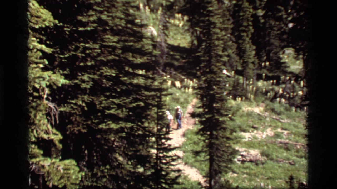 1977 Montana forest trail scene with two distant hikers walking through evergreens near Sapphire Lake.