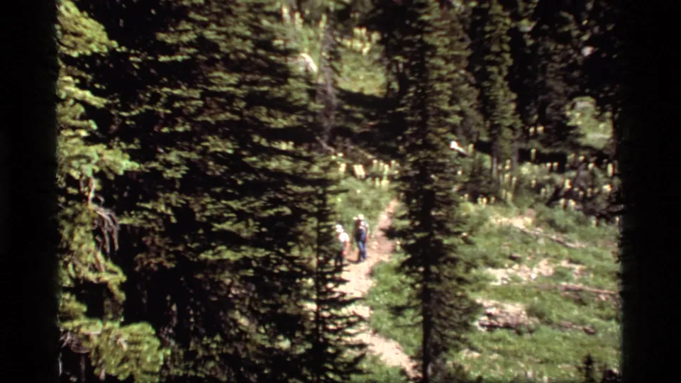 1977 Montana forest trail scene with two distant hikers walking through evergreens near Sapphire Lake.