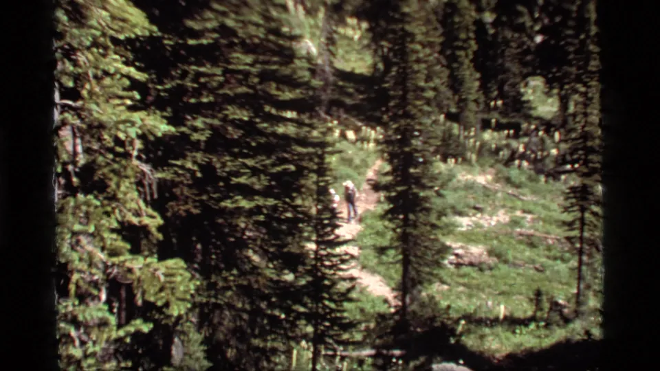 1977 8mm frame of hikers on a curving Montana forest trail, surrounded by conifers and sunlit undergrowth.