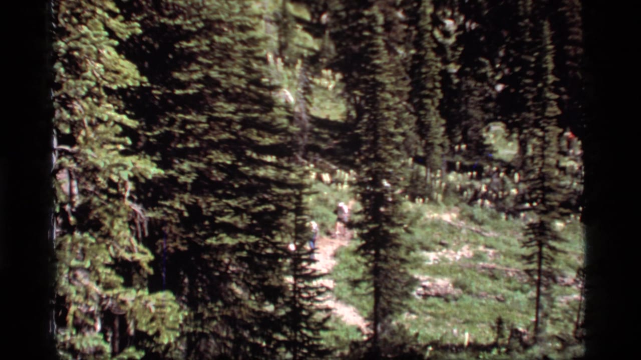 Hikers with packs move along a winding forest path in supported 1977 Sapphire Lake, Montana home-movie footage.
