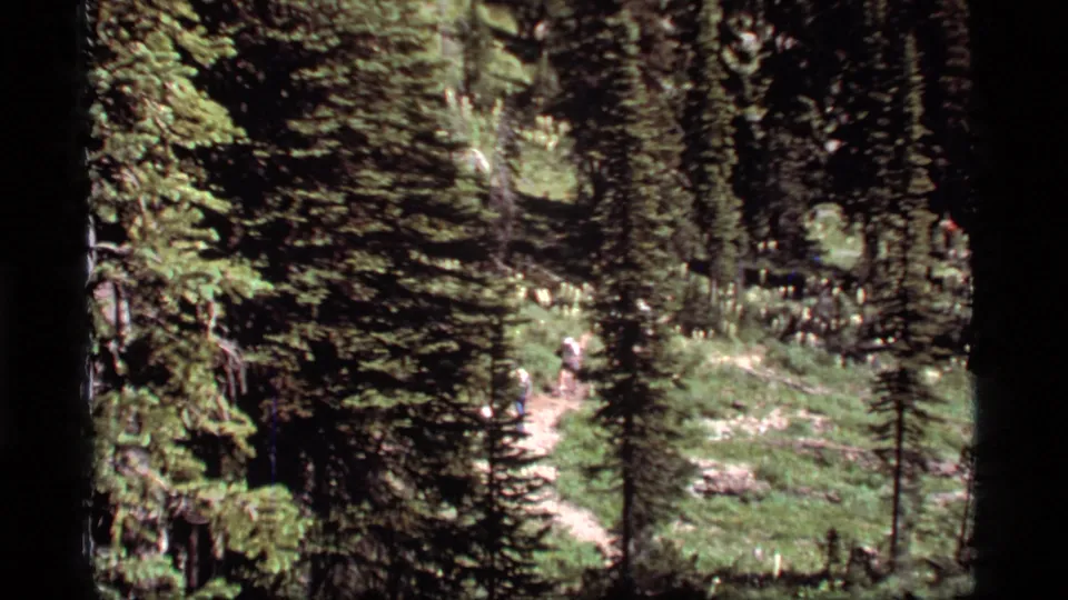 Hikers with packs move along a winding forest path in supported 1977 Sapphire Lake, Montana home-movie footage.