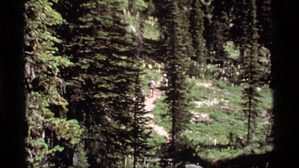 A distant group of hikers follows a narrow trail through shaded Montana forest in 1977 8mm footage.