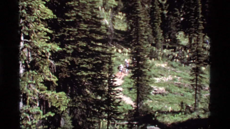 Backpackers remain visible on a narrow Sapphire Lake forest trail, surrounded by evergreens and summer undergrowth.