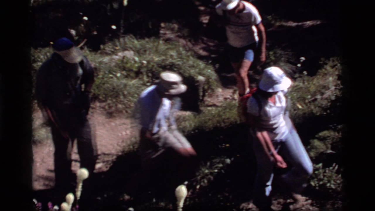 Adult hikers in hats and summer clothing move along a forest trail in Sapphire Lake, Montana, 1977 home-movie footage.