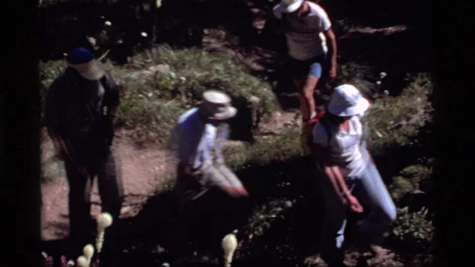 Adult hikers in hats and summer clothing move along a forest trail in Sapphire Lake, Montana, 1977 home-movie footage.