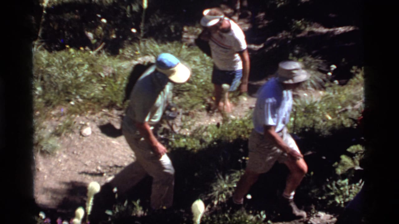 Two adult hikers in shorts and brimmed hats continue along a sunlit dirt trail in the Montana forest setting.