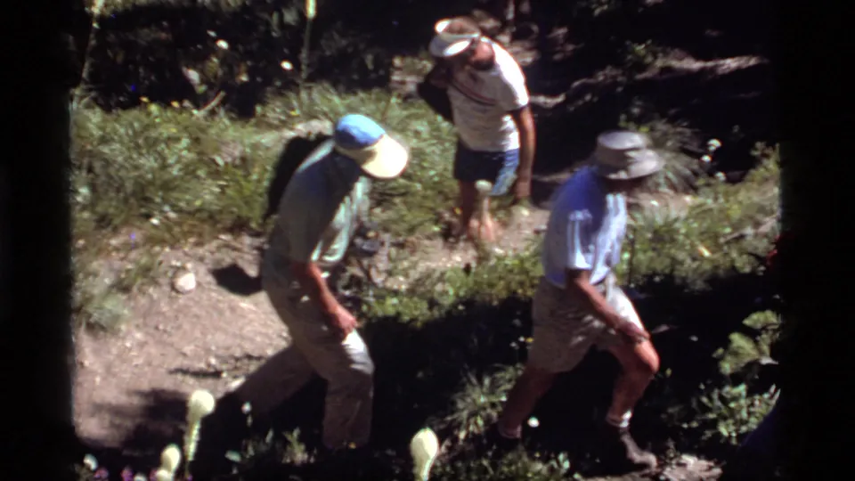Two adult hikers in shorts and brimmed hats continue along a sunlit dirt trail in the Montana forest setting.