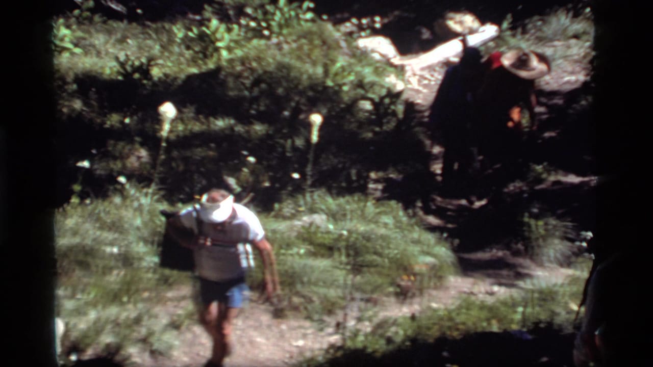 1977 8mm Montana home-movie frame of hikers moving uphill on a shaded mountain trail with grass and wildflowers nearby.
