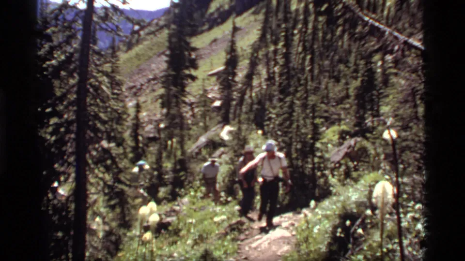 Hikers on a Sapphire Lake, Montana trail approach through sunlit forest, with pine trees, flowers, and steep hillside visible.