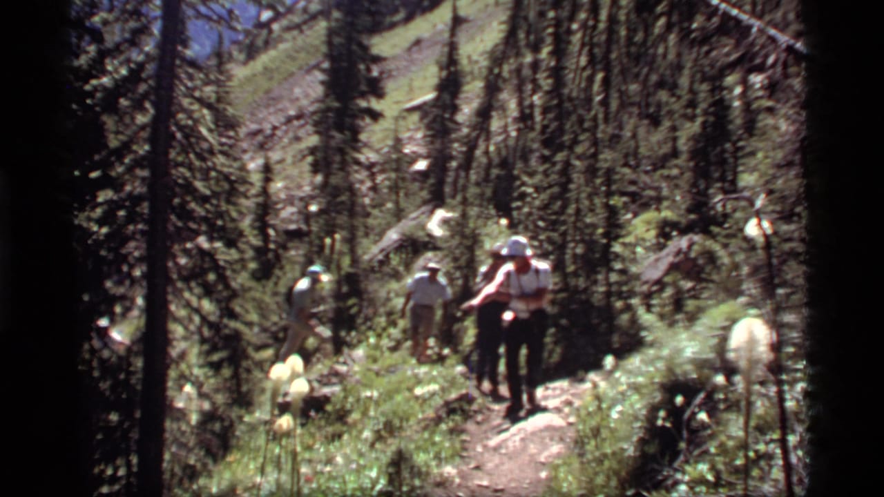 1977 Montana home-movie frame showing hikers on a sun-dappled forest trail near tall white flowering plants.