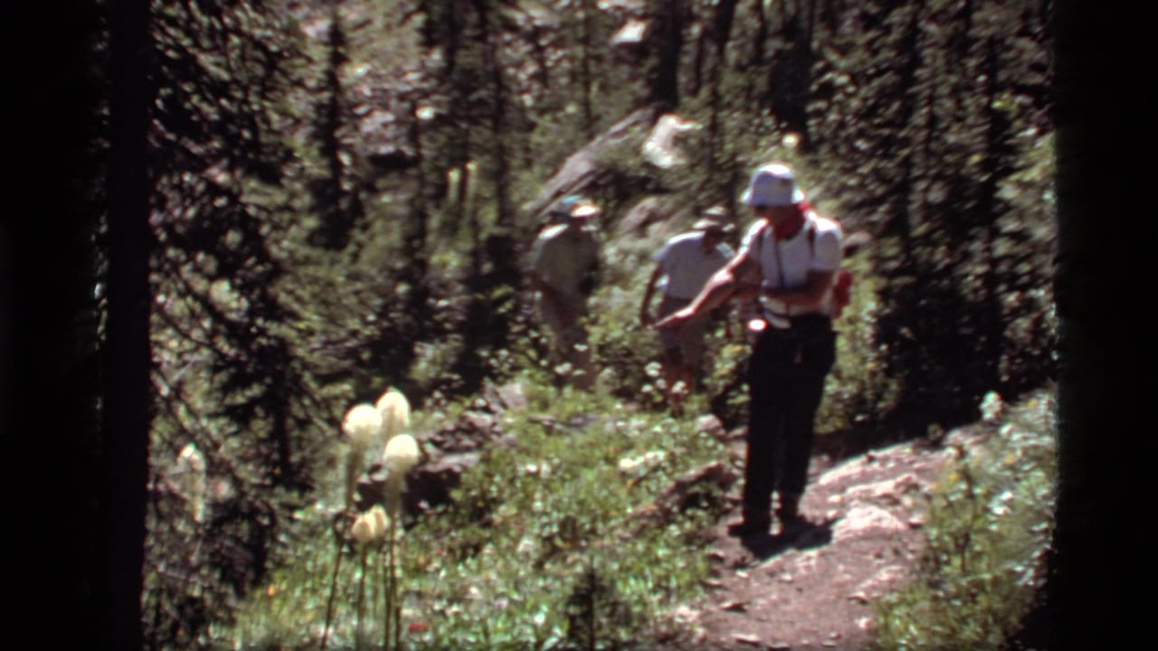 Several hikers walk downhill through trees on a rocky dirt path.