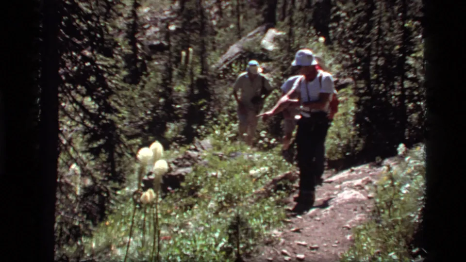 A Montana hiking scene shows a foreground hiker and companions moving along a narrow trail among trees and white blooms.