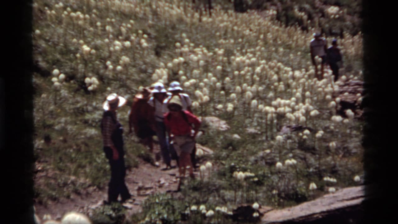 A group of hikers walks through a bear grass meadow on a rocky trail at Sapphire Lake, Montana, in 1977.