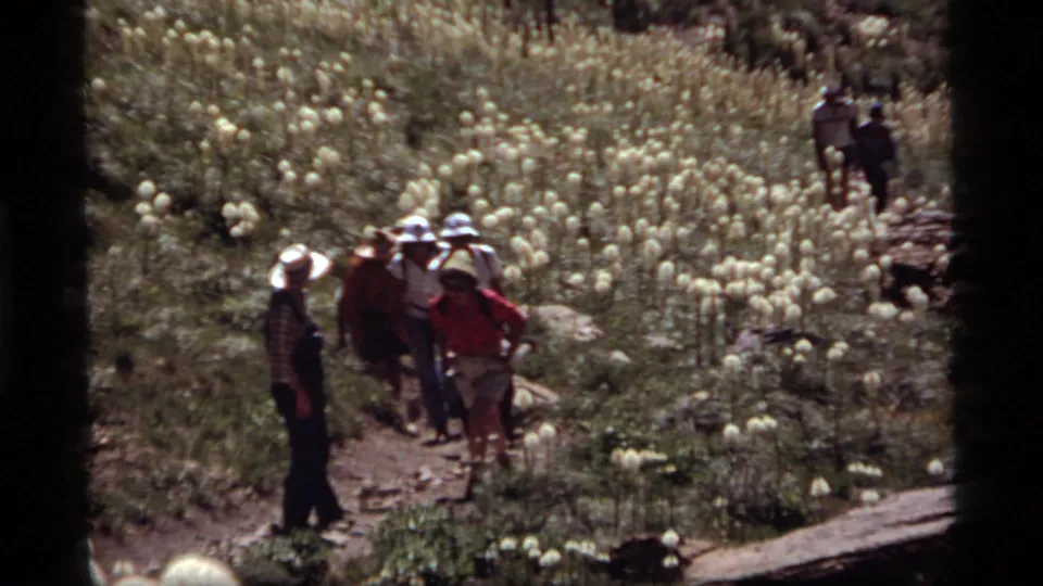A group of hikers walks through a bear grass meadow on a rocky trail at Sapphire Lake, Montana, in 1977.