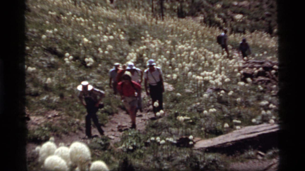 Hikers in summer clothing and hats descend a rocky Montana mountain trail bordered by white bear grass flowers.