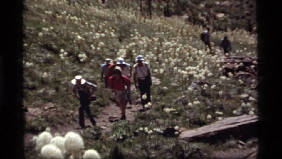 Hikers in summer clothing and hats descend a rocky Montana mountain trail bordered by white bear grass flowers.