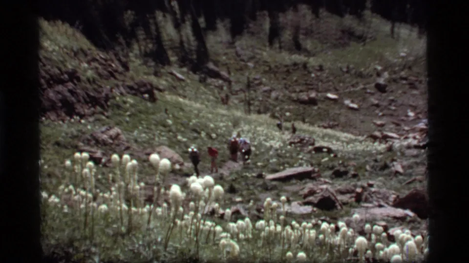 Distant hikers continue through the Sapphire Lake mountain meadow, framed by bear grass blooms and a wooded slope.