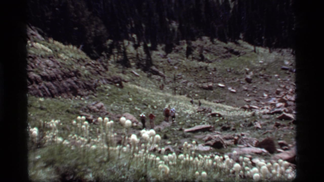 Rocky mountain valley with white wildflowers and small hikers in the distance.