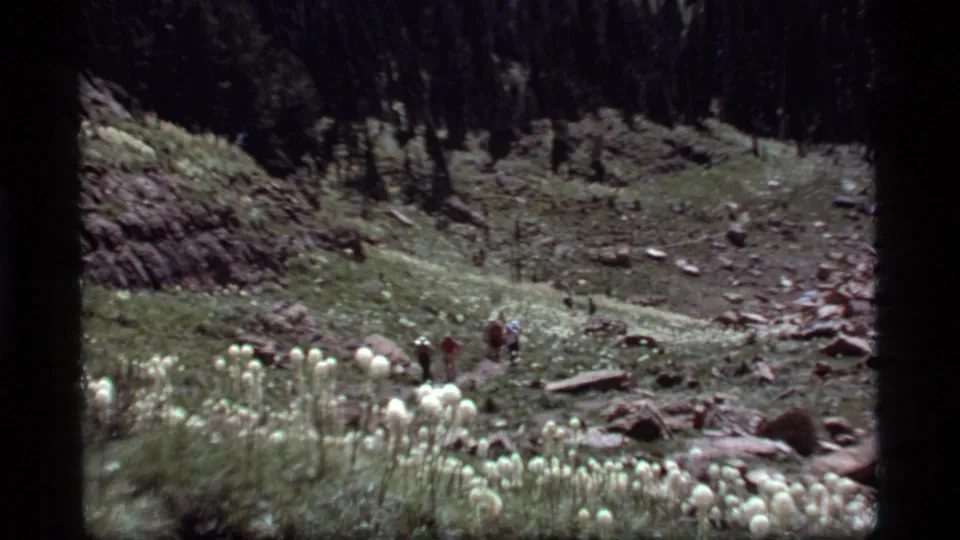 1977 8mm view at Sapphire Lake, Montana, showing hikers crossing a rocky mountain valley dotted with tall white wildflowers.