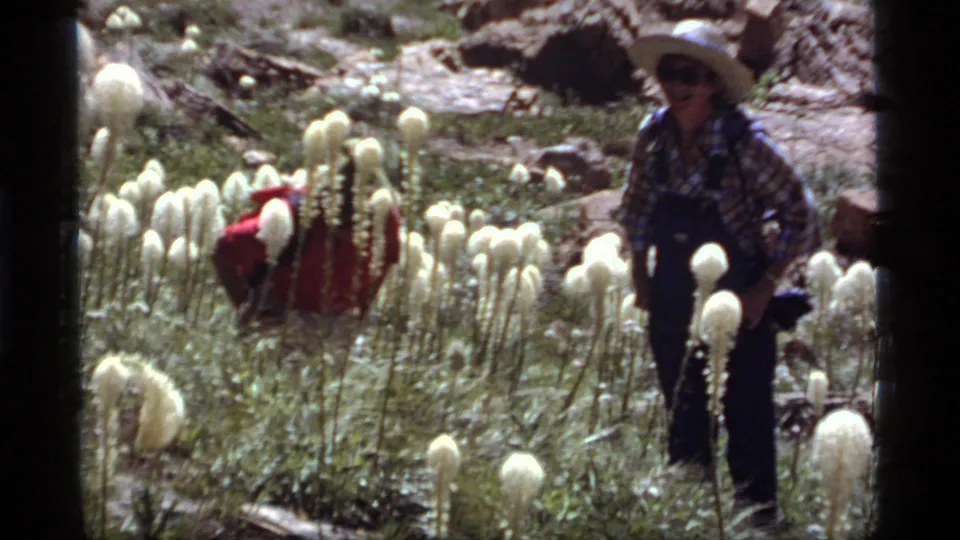 Closer 1977 Sapphire Lake frame showing a hiker in a hat, plaid shirt, and overalls among tall white wildflowers and rocks.