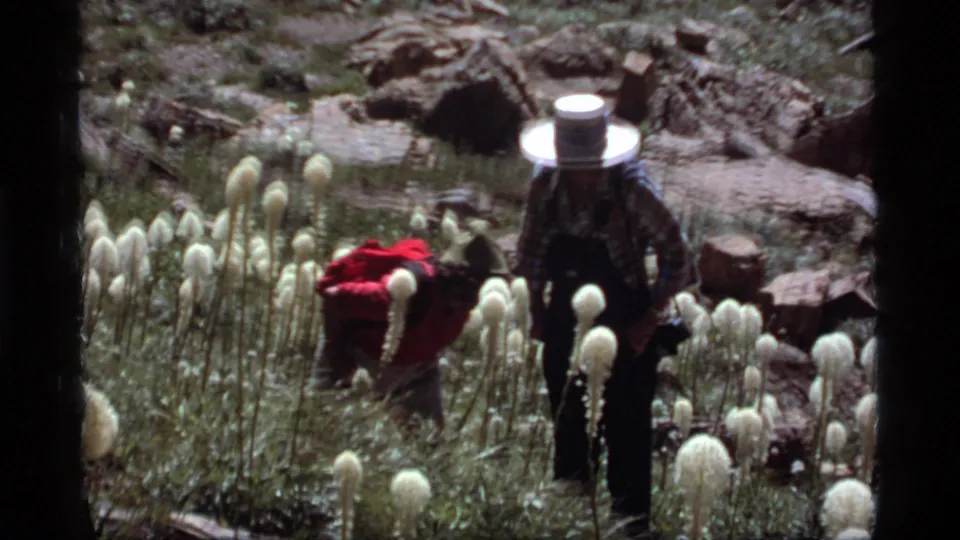 An adult hiker in a wide-brimmed hat stands in a sunlit Sapphire Lake meadow while another figure bends near red clothing among white flowers.