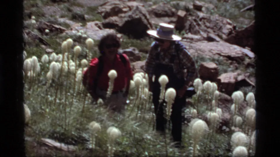 Two adult hikers, one in a red top and one in a brimmed hat, walk through white wildflowers in the 1977 Sapphire Lake meadow scene.