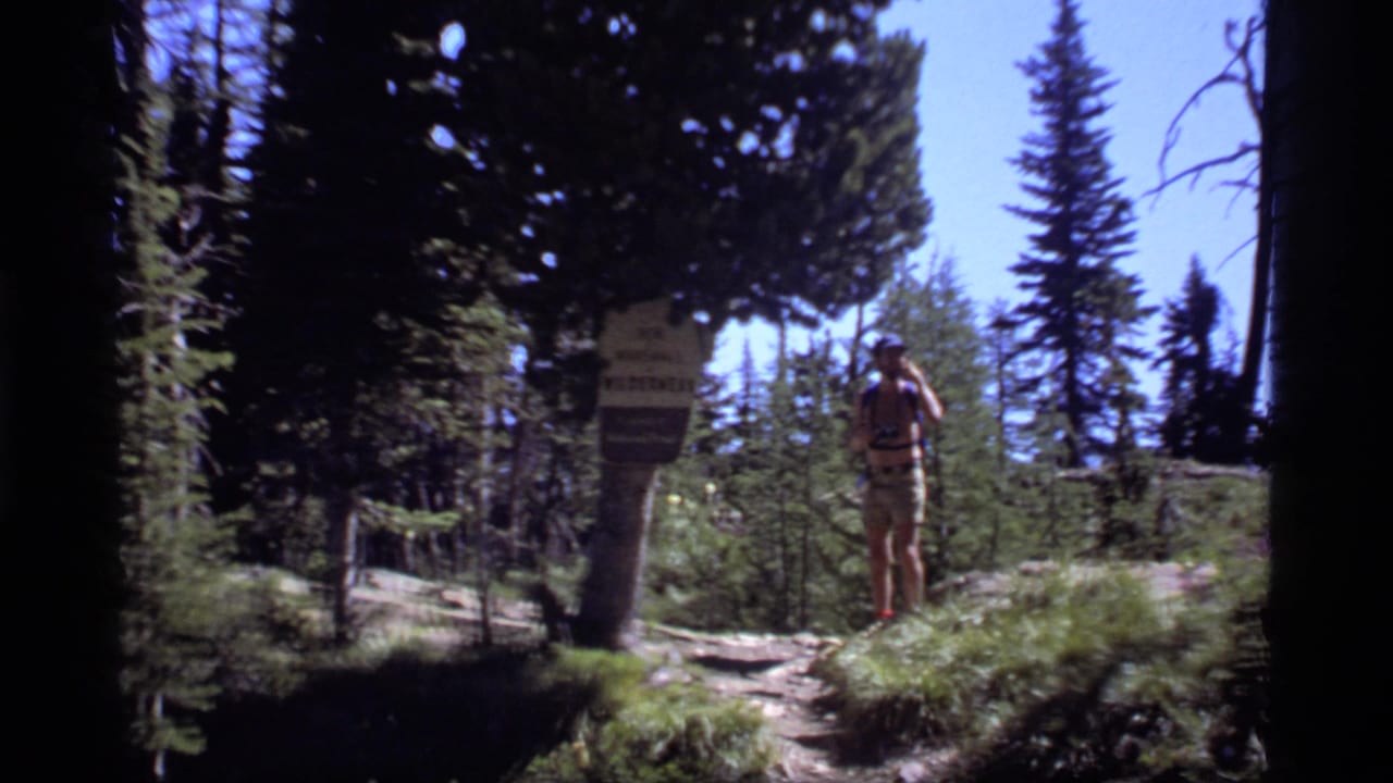 Man in shorts and a red cap stands near a trail sign among pine trees.