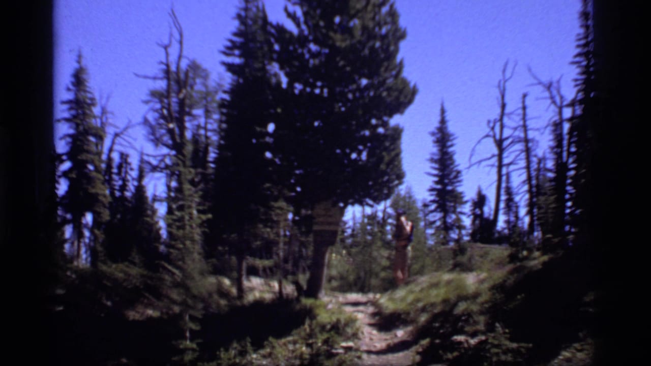 A handheld 8mm view of the Sapphire Lake area shows a hiker near a trail sign under tall pine trees.
