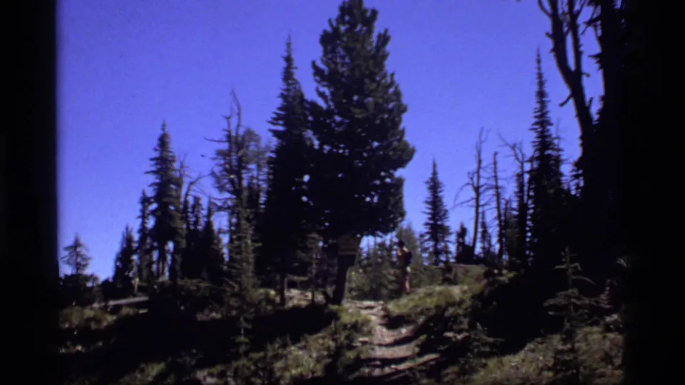 The 1977 home-movie frame shows a shaded Montana trail, pine trees, a sign, and a hiker near the right edge.