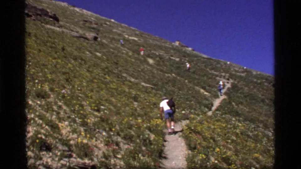 Hikers ascend a narrow Sapphire Lake mountain trail through a sunlit slope with wildflowers and open blue sky.