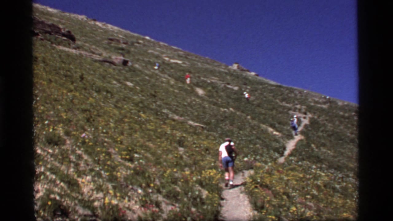 Hikers ascend a narrow switchback trail across a sunny mountain meadow.