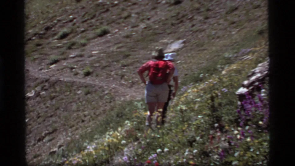 The hikers continue along the sloped trail, partly surrounded by wildflowers and rocks in this 1977 Montana home-movie frame.