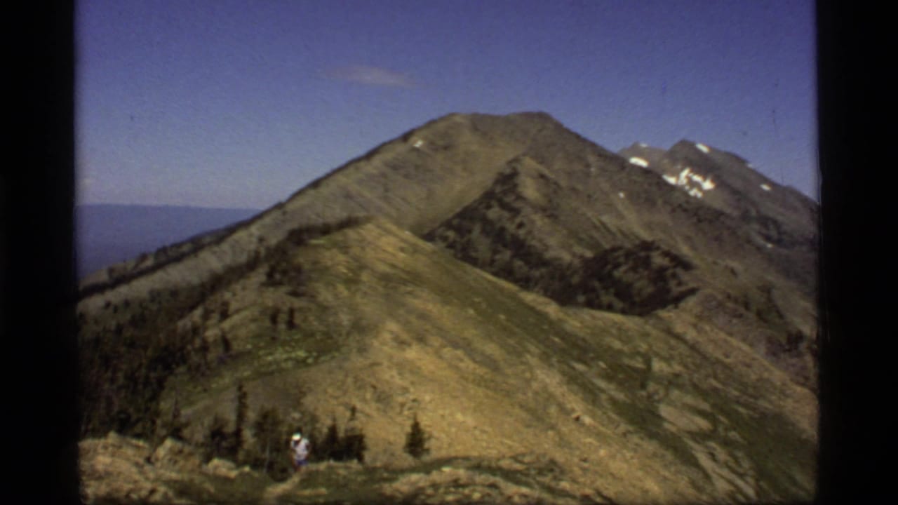 Mountain ridge scene with a distant hiker, evergreen trees, and snow-capped peaks.