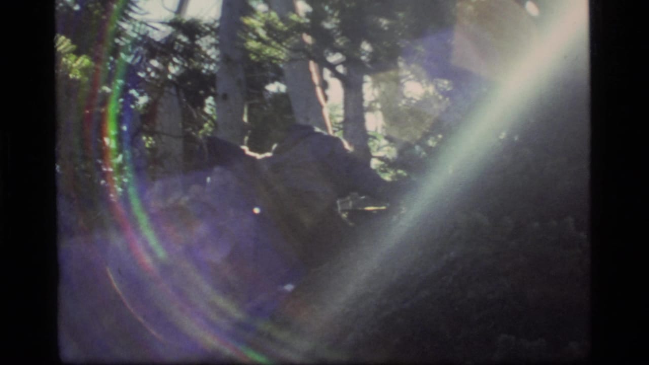 1977 Sapphire Lake, Montana 8mm frame showing a person moving low through trees beneath strong rainbow lens flare.