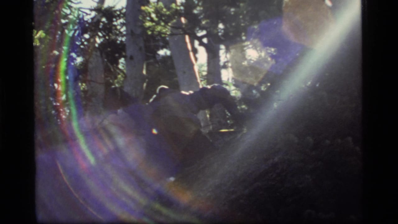 A person appears in dark silhouette in the Sapphire Lake forest, with strong sunlight and lens flare dominating the 8mm frame.