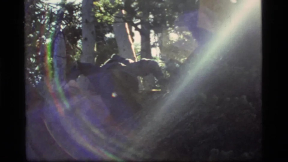 1977 home-movie frame from Sapphire Lake showing a person bending or climbing through a wooded area under pronounced flare.