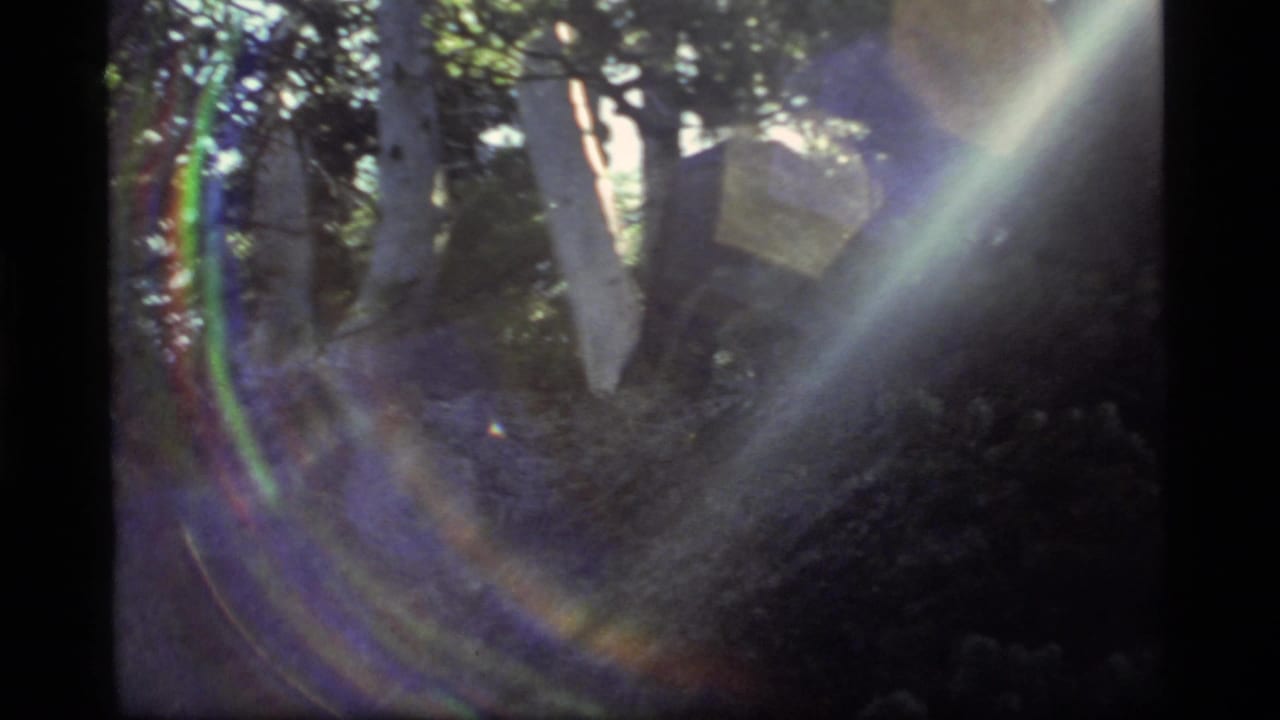 1977 Sapphire Lake forest footage with a dark partially visible form among trees and broad diagonal sun flare.