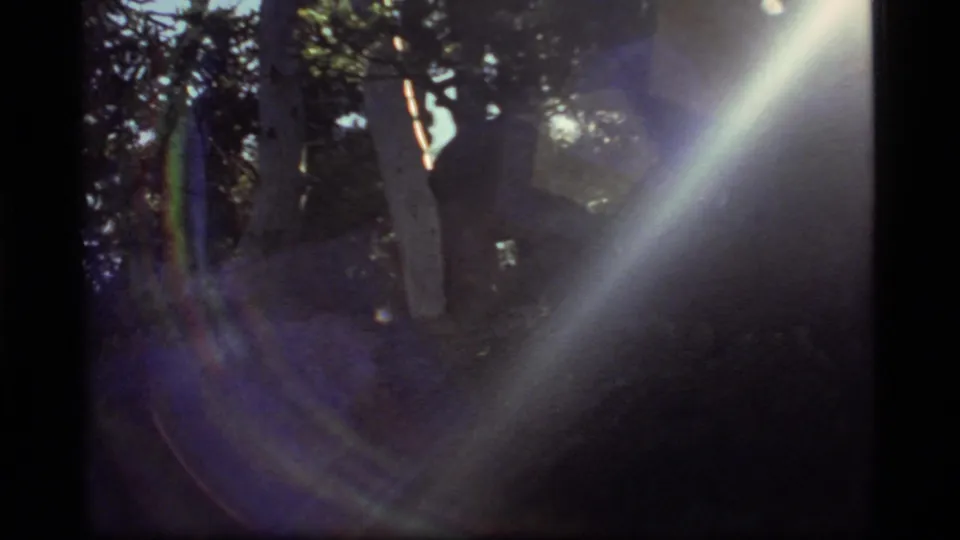 8mm Montana forest frame where a dark figure appears between pale trunks, softened by grain, shadow, and lens flare.