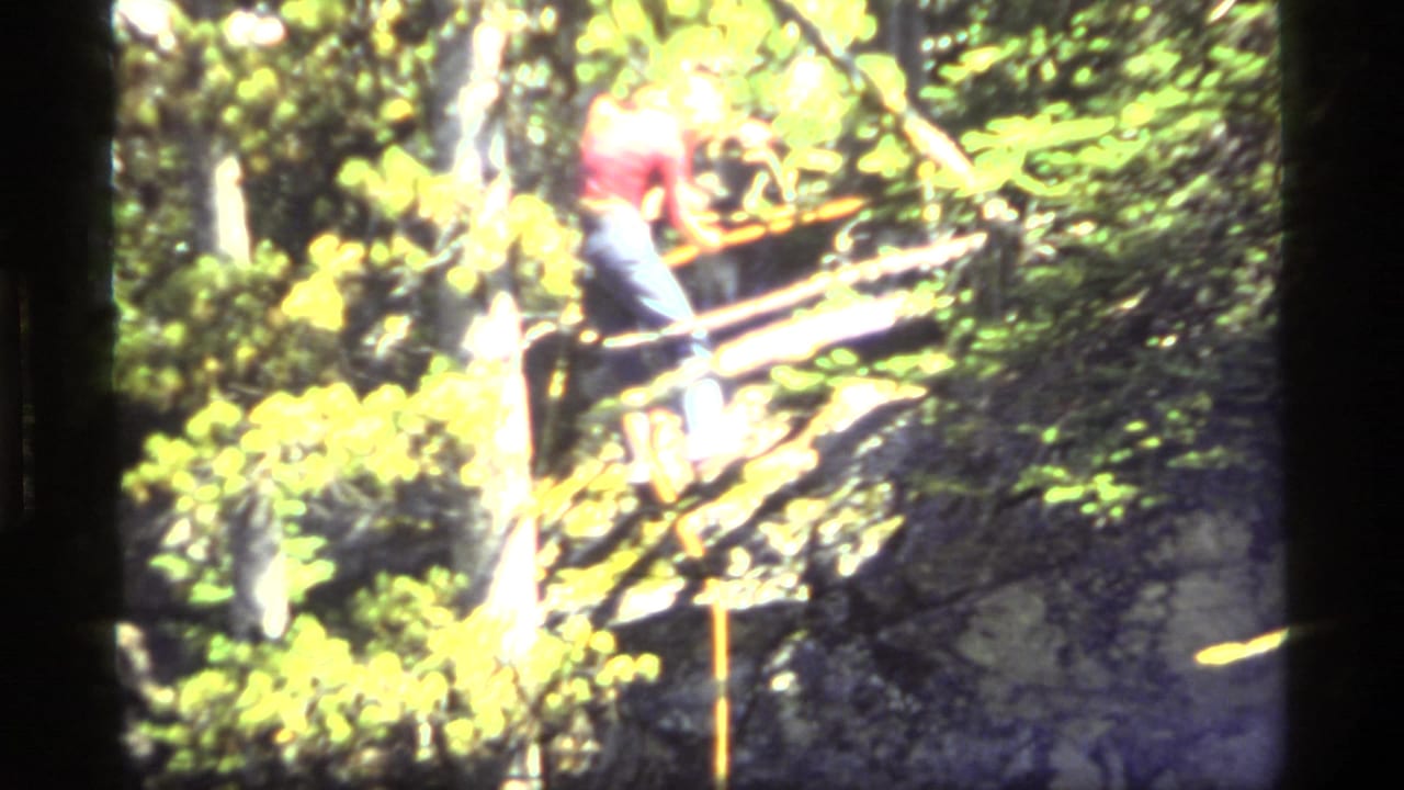 1977 8mm frame from Sapphire Lake, Montana, showing a person in a red shirt balancing on a makeshift bridge in a forest ravine.