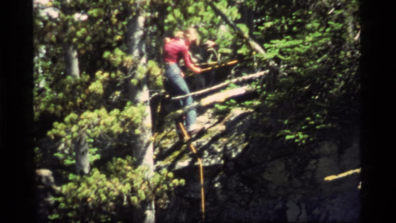 Person balances on logs forming a narrow bridge in a wooded ravine.