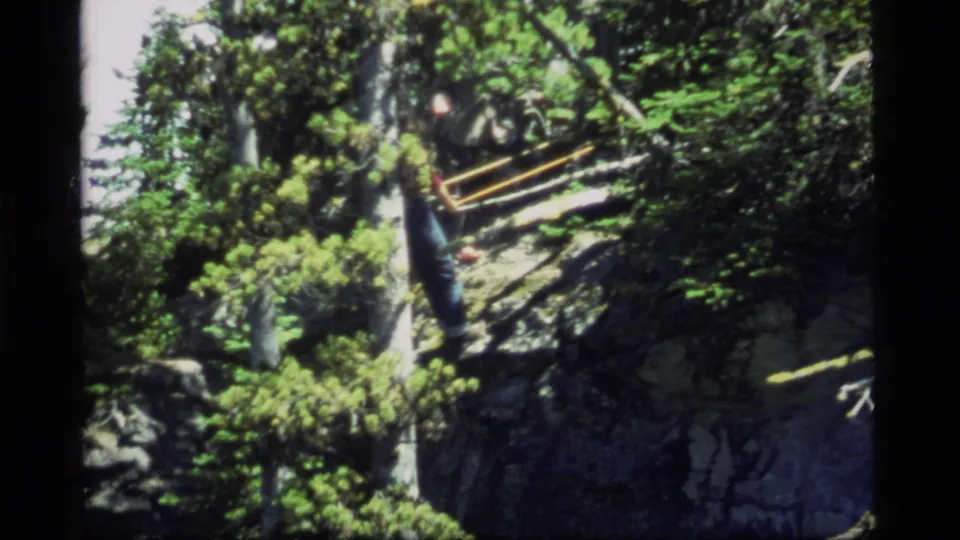 Near the end of the clip, the person is partly hidden by foliage beside the makeshift bridge in the Sapphire Lake forest.