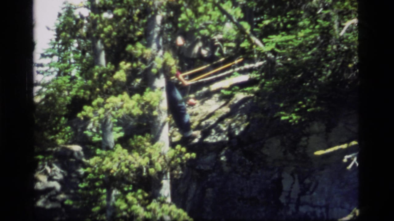1977 Sapphire Lake, Montana 8mm frame showing a rocky forest slope with a distant person working near a cut or leaning tree.