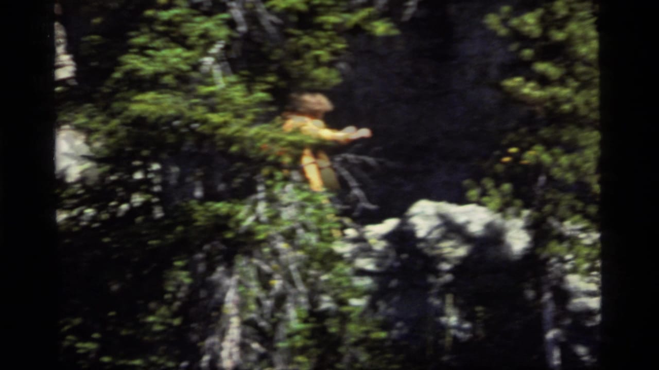 Hiker in an orange jacket moving among rocks and evergreen trees.