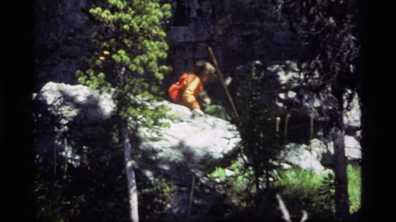 Hiker with backpack moving near a large boulder and trees in a shaded forest.