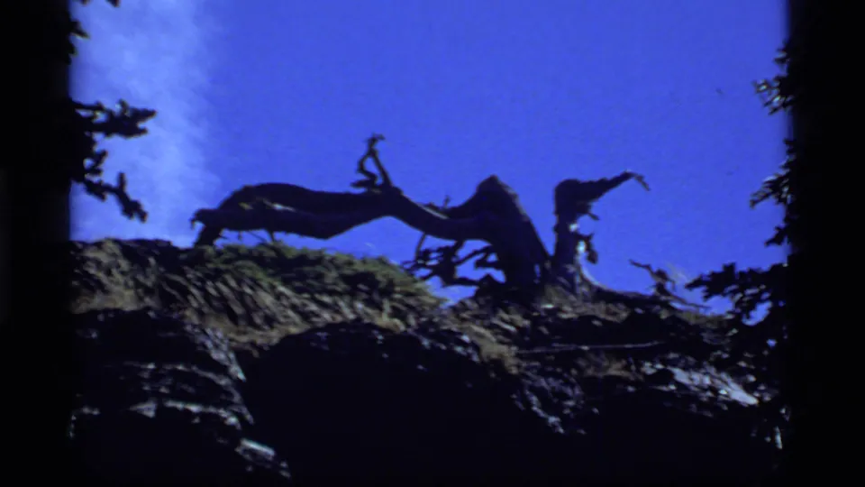 A gnarled tree or stump silhouette on a rocky edge at Sapphire Lake, Montana, set against deep blue 1977 8mm sky.